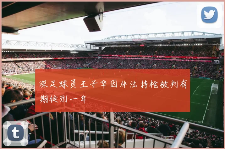深足球员王子华因非法持枪被判有期徒刑一年