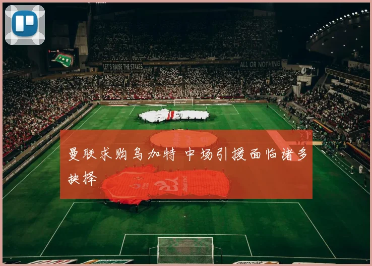 曼联求购乌加特 中场引援面临诸多抉择